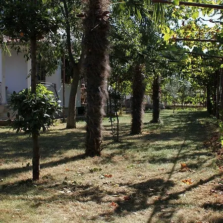 Apartmán 7195a