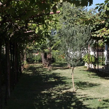 7195a *